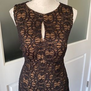 Beautiful Lace Overlay Dress